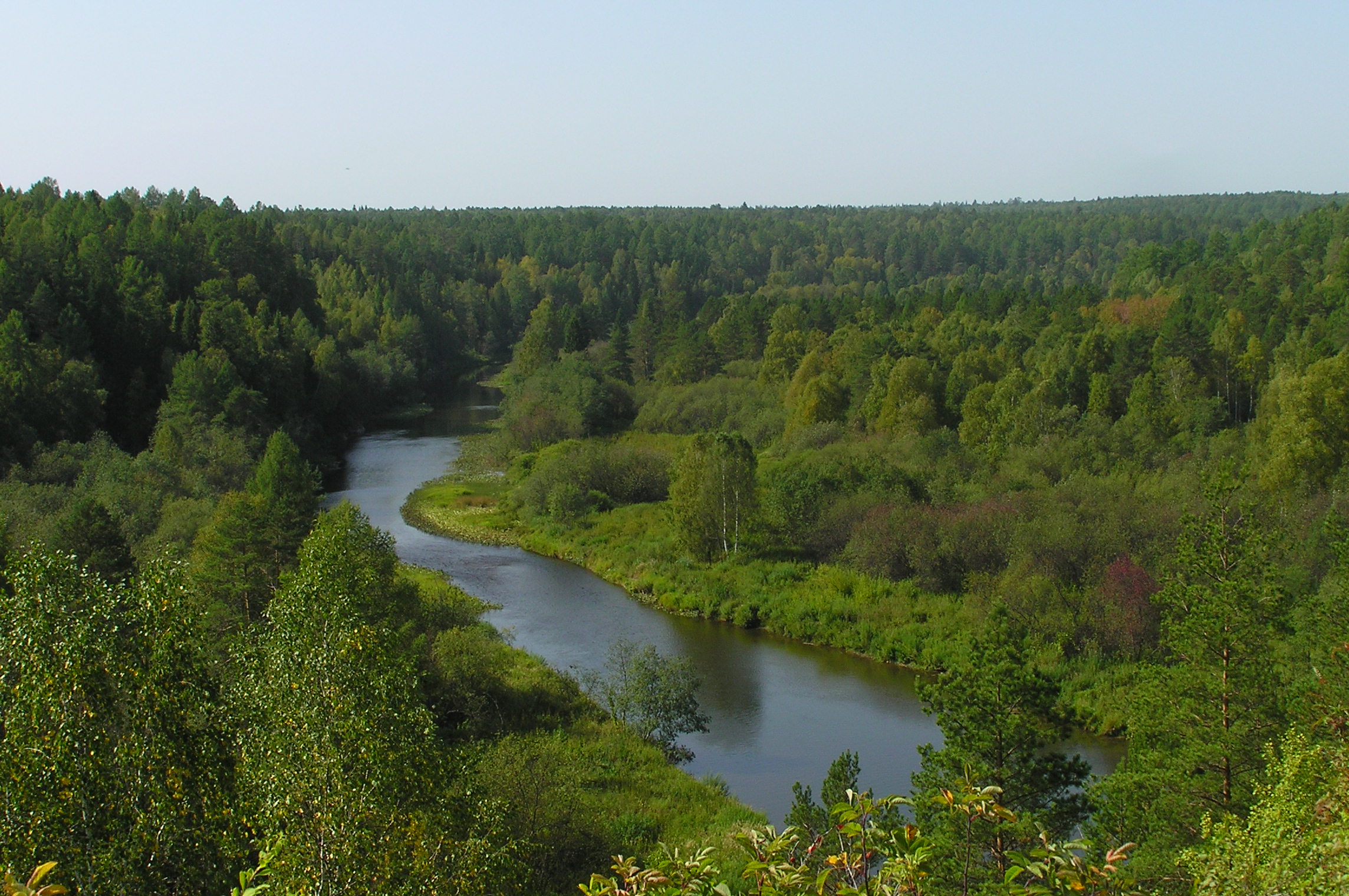 Stiati_ca_taiga_siberiana